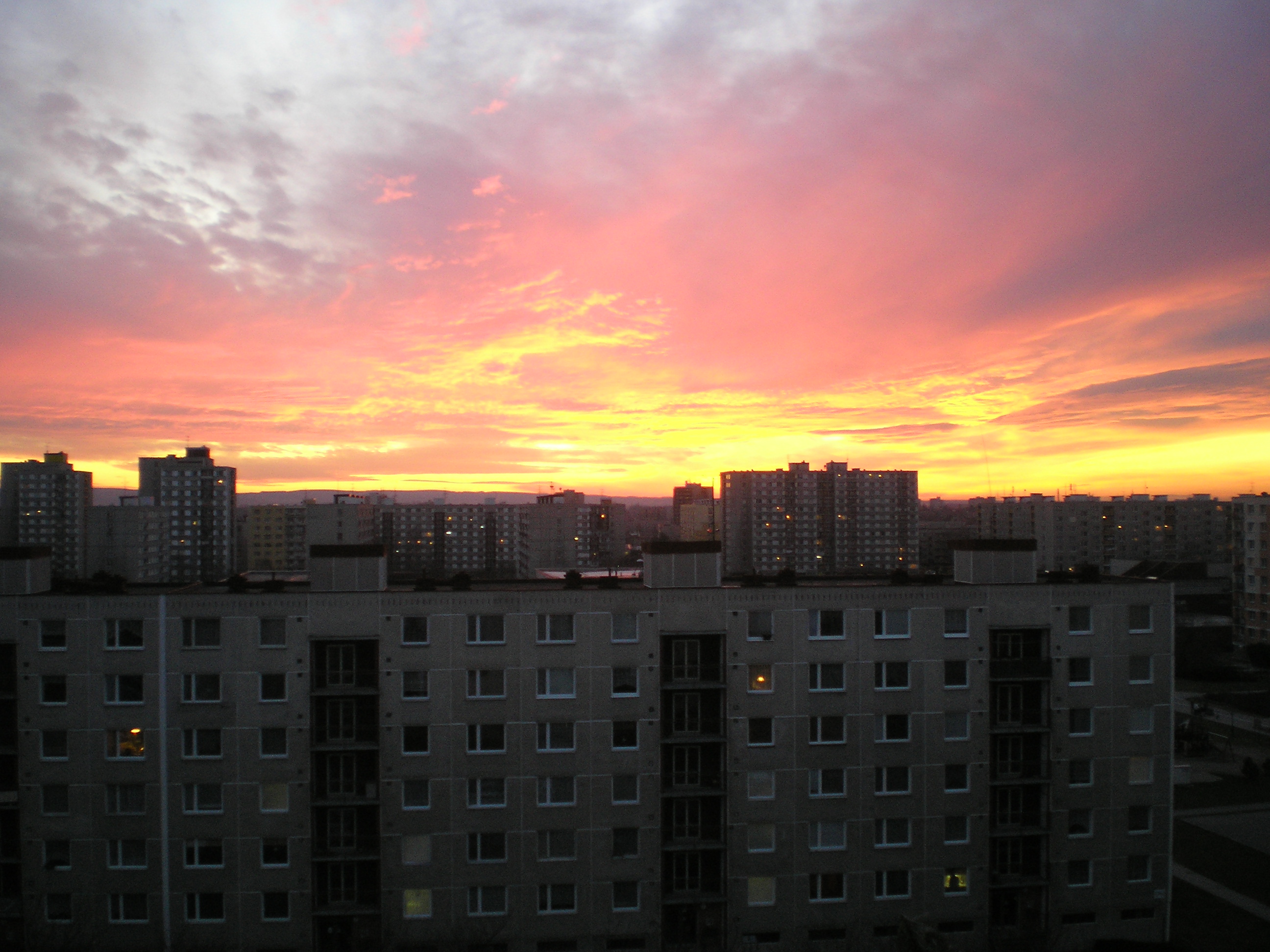 P1100129.JPG