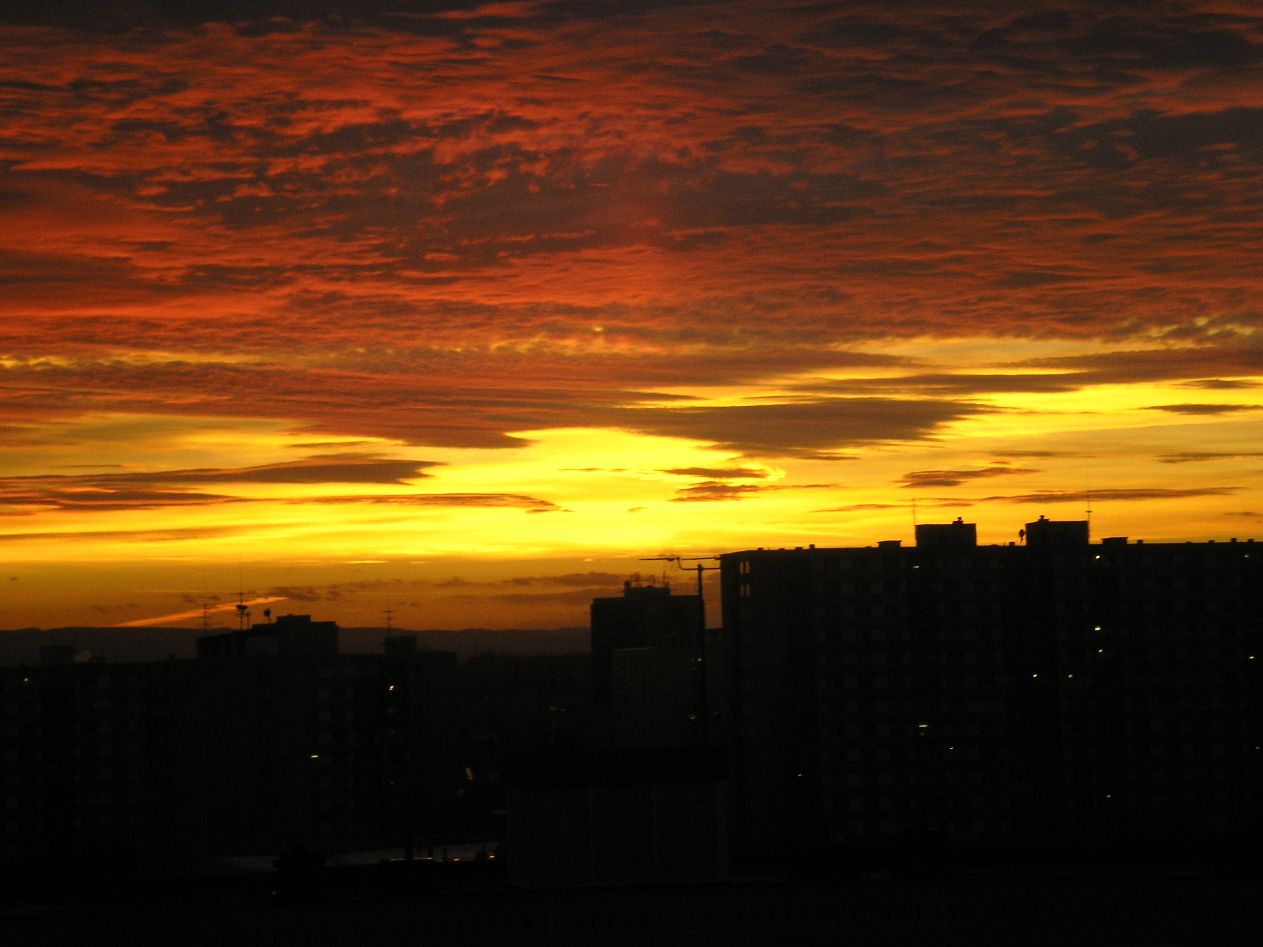 PC050082.JPG